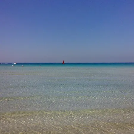 Dimora Il Girasole Guest house *